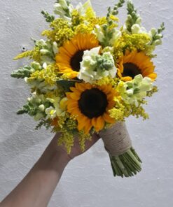 Một Gia Đình HC-27