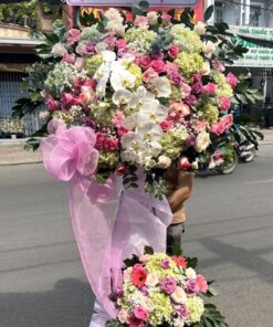 Hoa Khai Trương KT-71