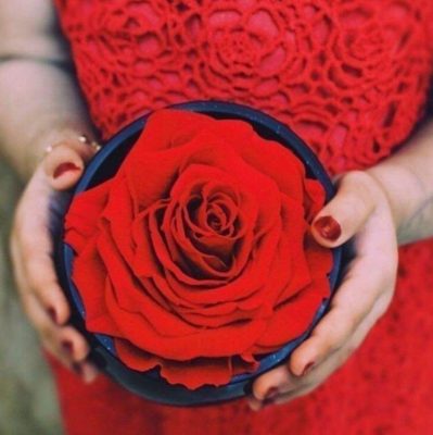 ƯU ĐIỂM VÀ NHƯỢC ĐIỂM CỦA HOA SÁP